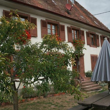 Maison D'Alsace Breitenbach-Haut-Rhin Exterior foto